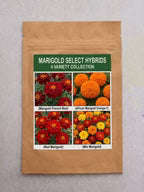 Marigold Select Hybrids
